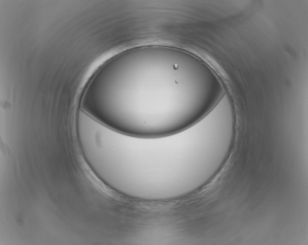 X0000090971246200708021135