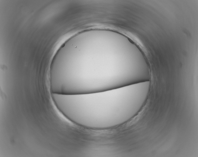 X0000090971247200708021135