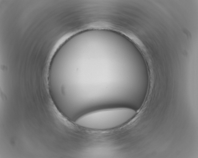 X0000090971248200708021135