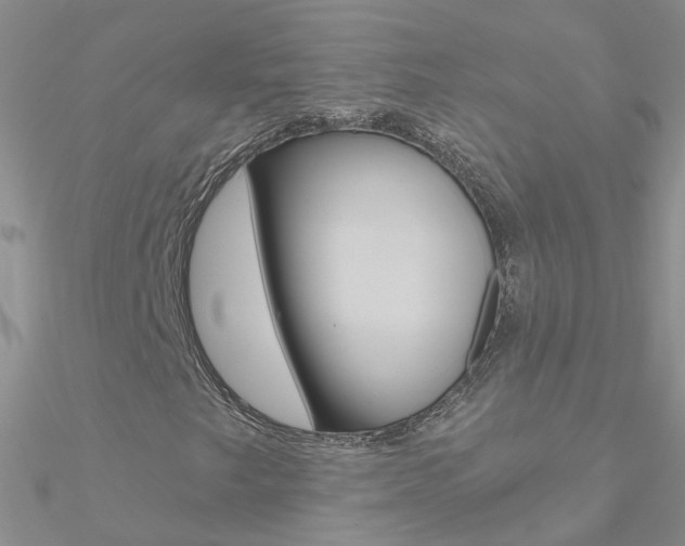 X0000090971249200708021135