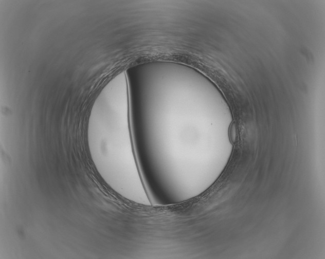 X0000090971250200708021135