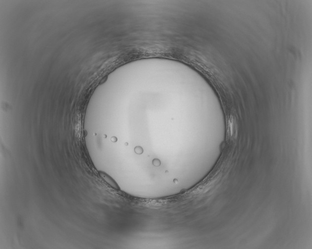X0000090971251200708021135