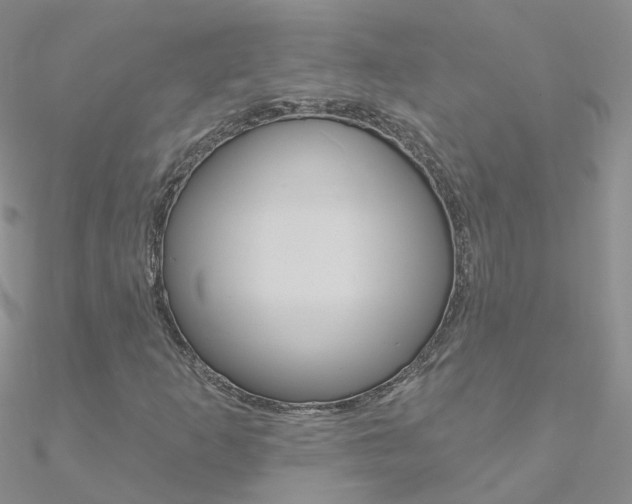 X0000090971253200708021135