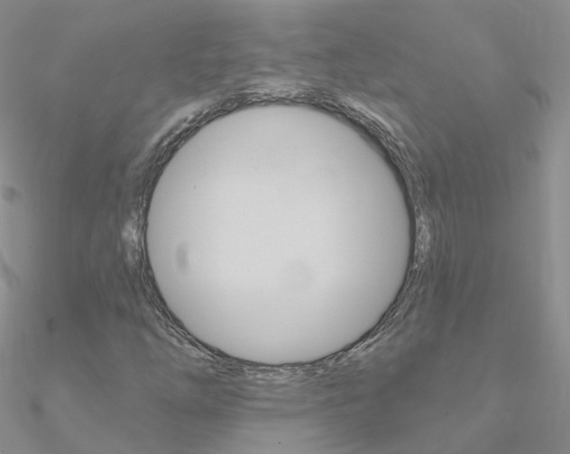 X0000090971254200708021135