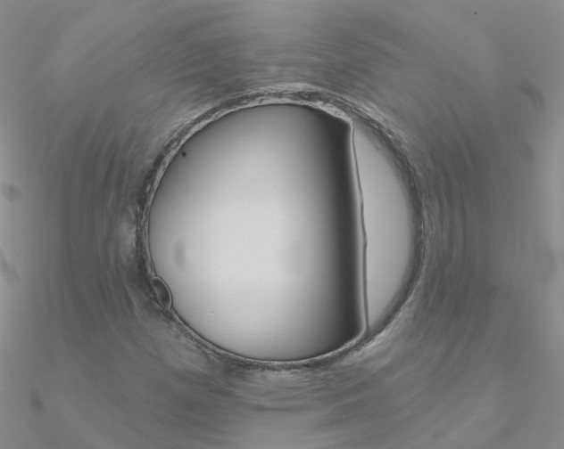X0000090971257200708021135