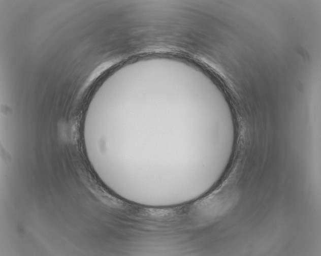 X0000090971258200708021135