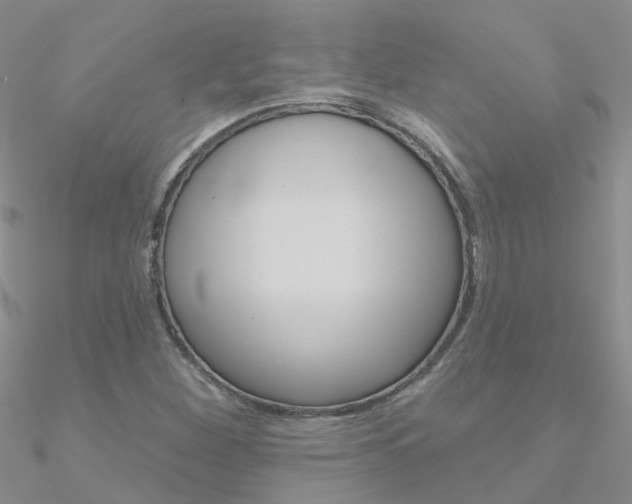 X0000090971260200708021135