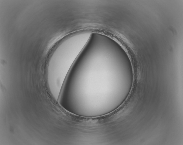 X0000090971261200708021135