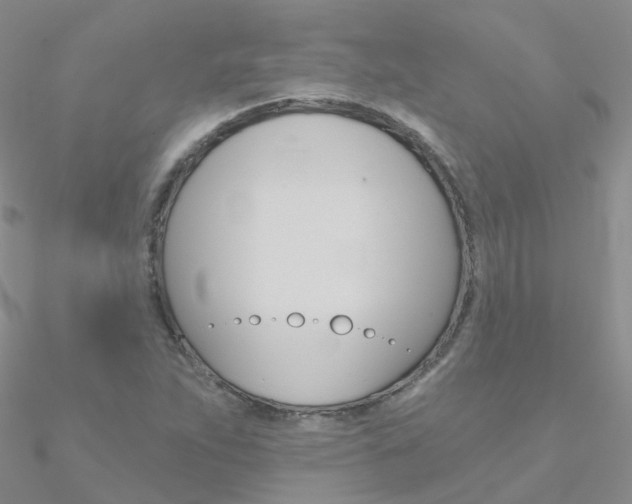X0000090971263200708021135