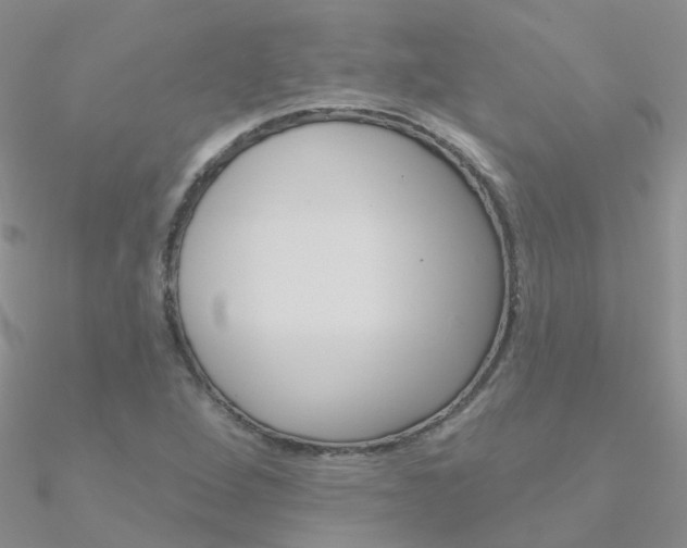 X0000090971264200708021135