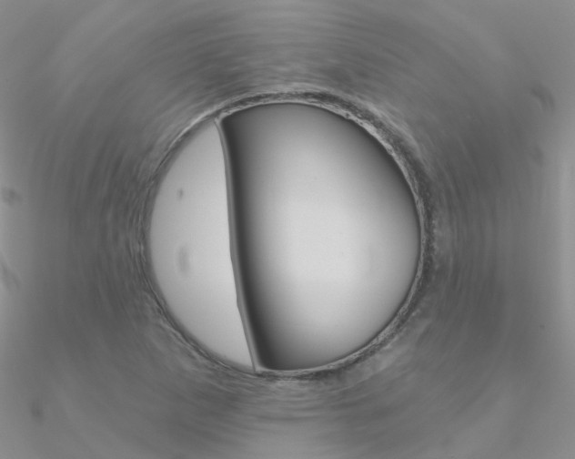 X0000090971265200708021135