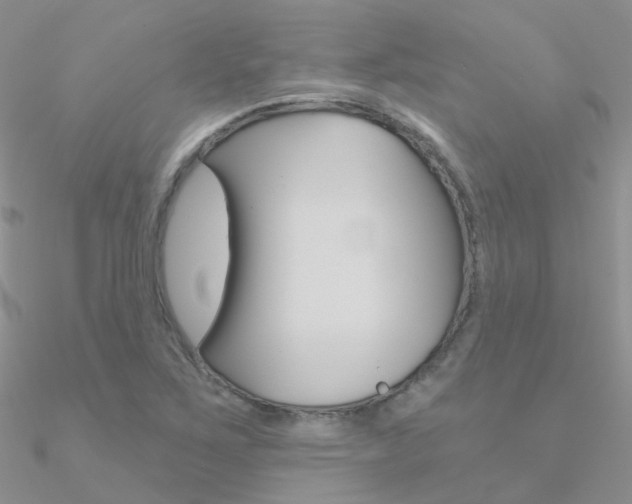 X0000090971267200708021135