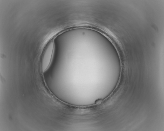 X0000090971269200708021135