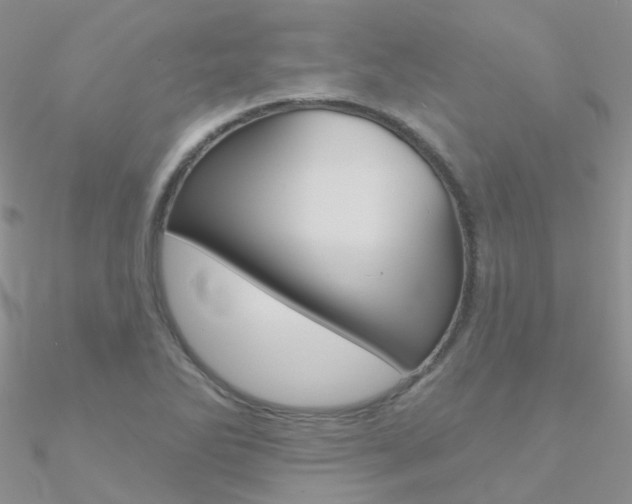 X0000090971270200708021135