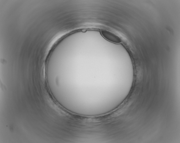 X0000090971275200708021134