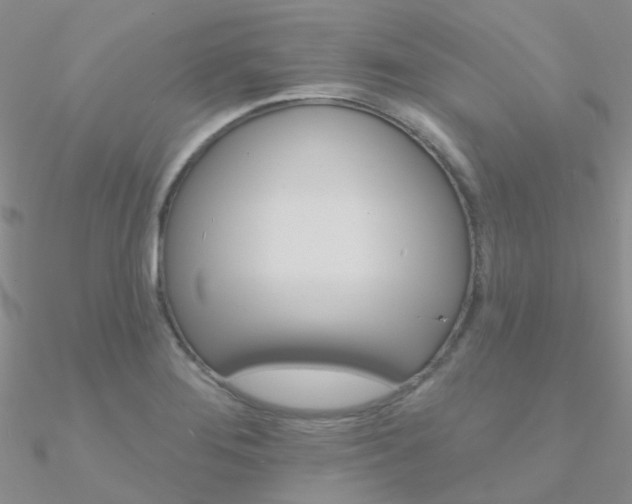 X0000090971276200708021134