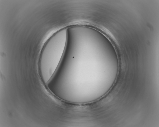 X0000090971277200708021134