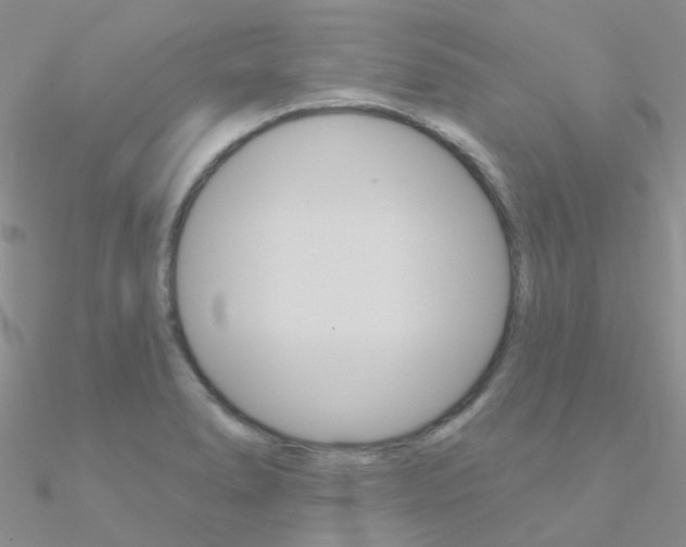 X0000090971278200708021134