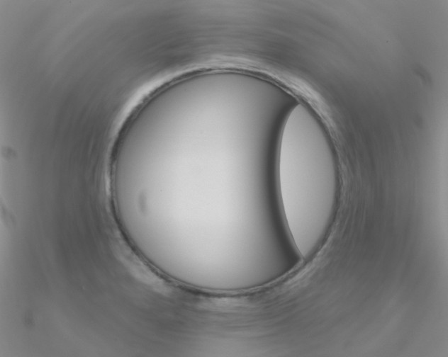 X0000090971280200708021134