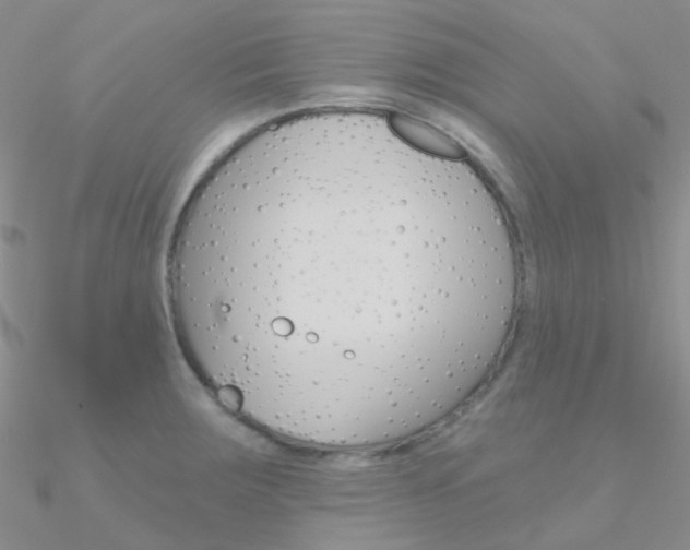 X0000090971283200708021134