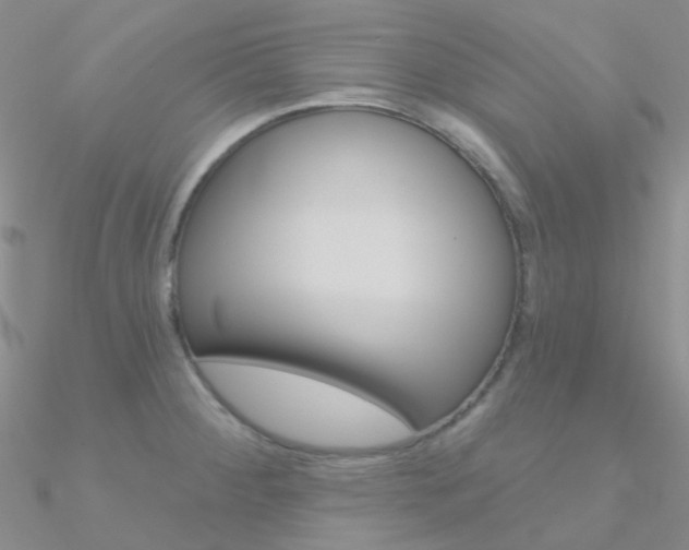 X0000090971284200708021134
