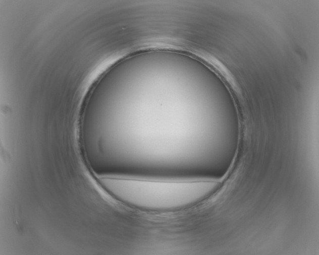 X0000090971285200708021134