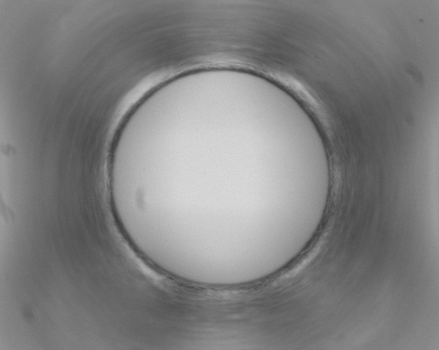 X0000090971286200708021134