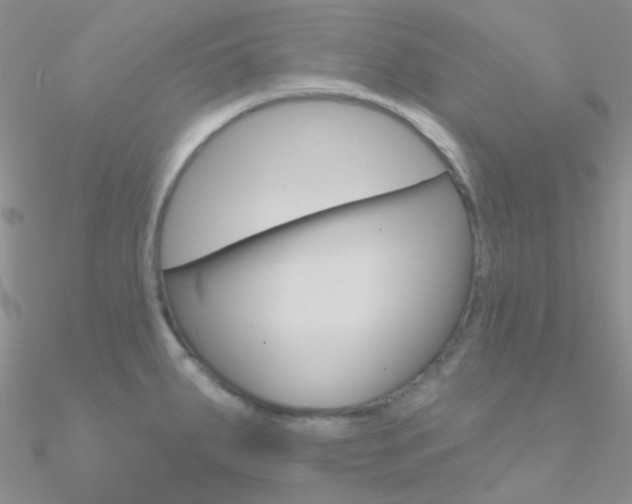 X0000090971287200708021134