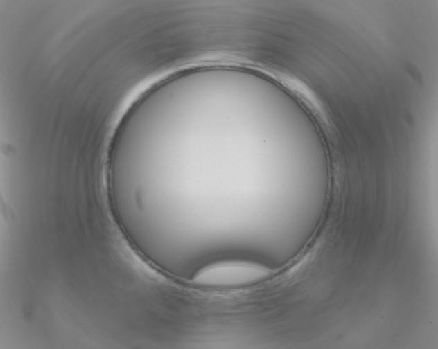 X0000090971288200708021134