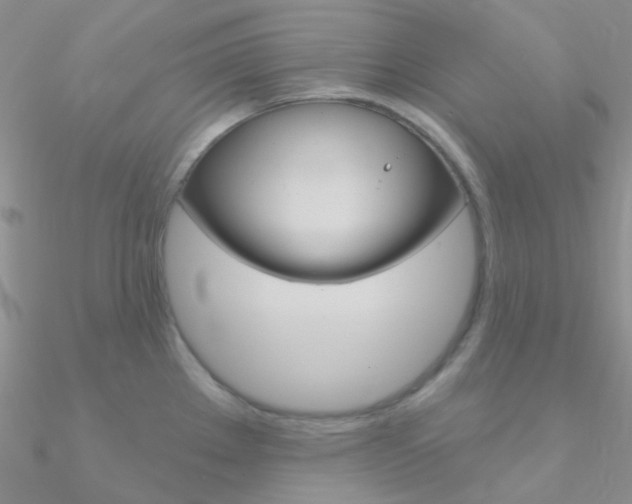 X0000090971289200708021134