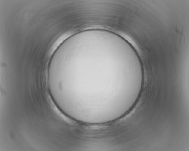 X0000090971290200708021134
