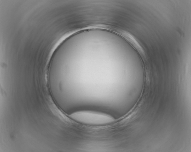 X0000090971292200708021134