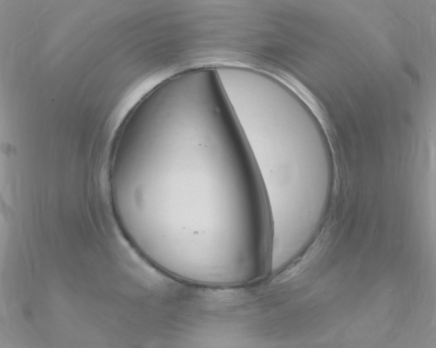 X0000090971293200708021134