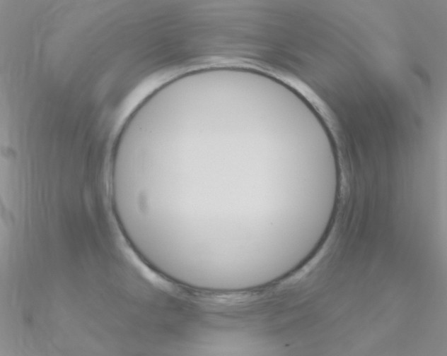 X0000090971294200708021134