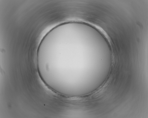 X0000090971295200708021134