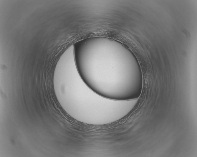 X0000090971298200708021134