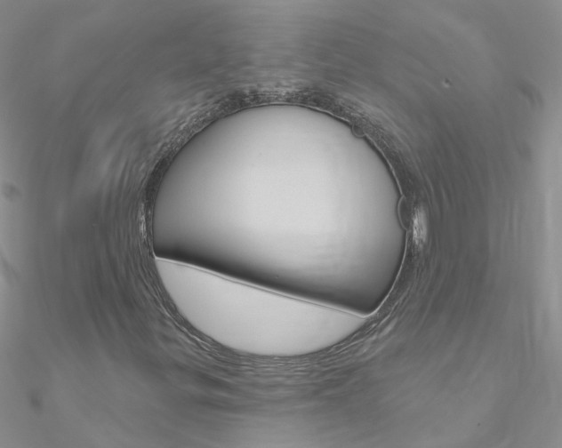X0000090971299200708021134