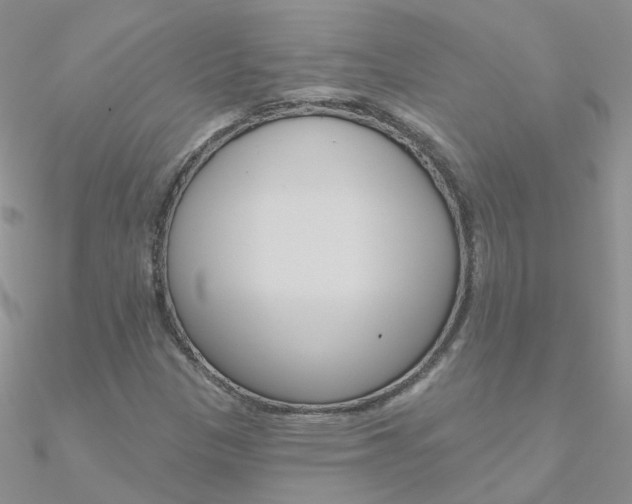 X0000090971305200708021134