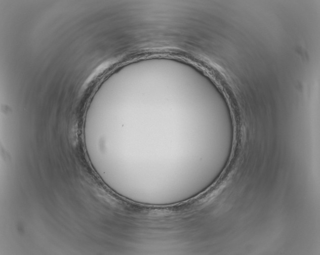 X0000090971306200708021134