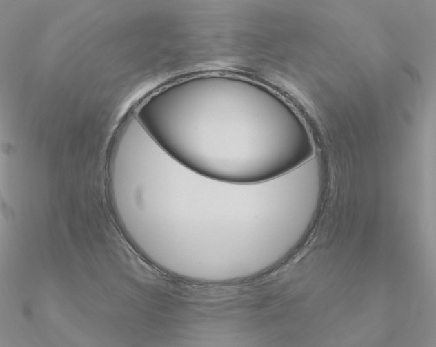 X0000090971308200708021134