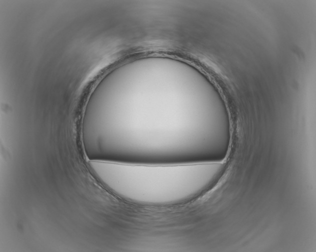 X0000090971309200708021134