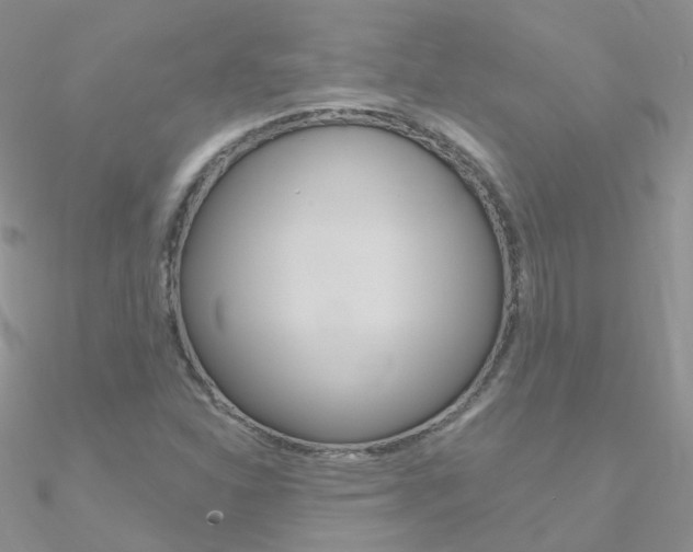 X0000090971310200708021134