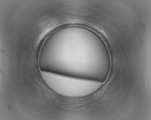 X0000090971311200708021134