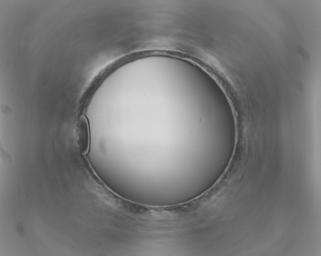 X0000090971312200708021134