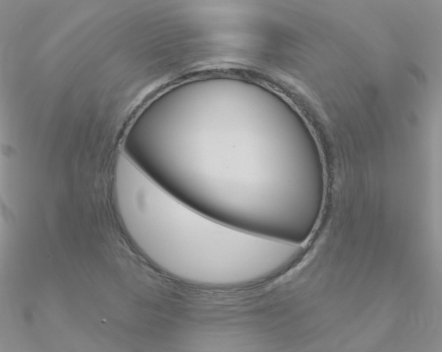 X0000090971313200708021134