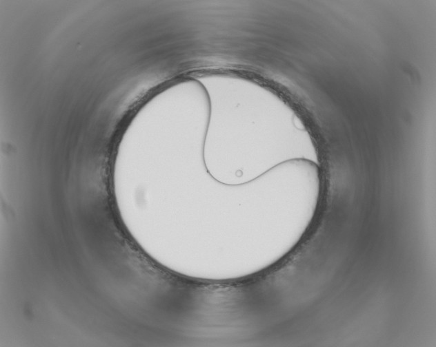 X0000090971314200708021134