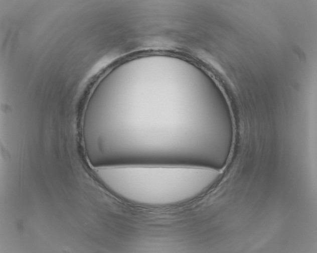 X0000090971315200708021134