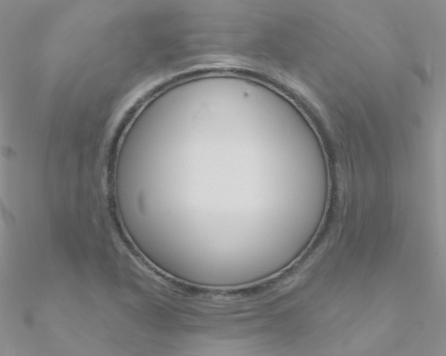 X0000090971318200708021134