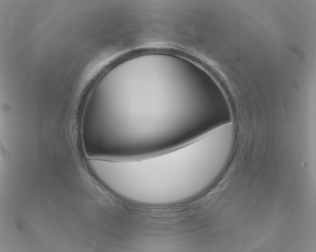 X0000090971319200708021134