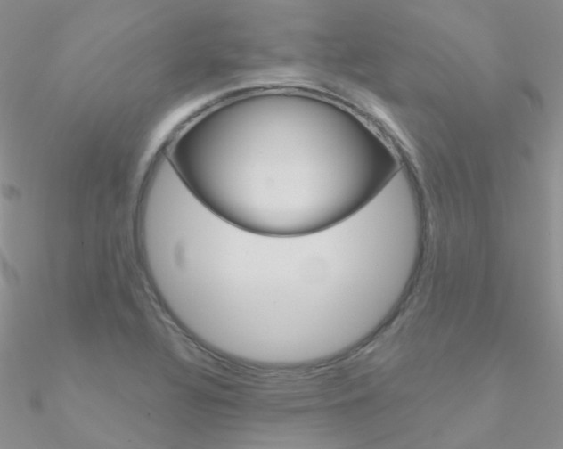 X0000090971320200708021134